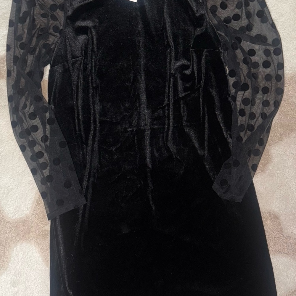 Little Black Velvet Dress with Sheer Polka Dot Sleeves NWT